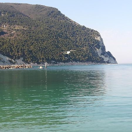 La Casina Di Sonia Hotel Ancona Ngoại thất bức ảnh