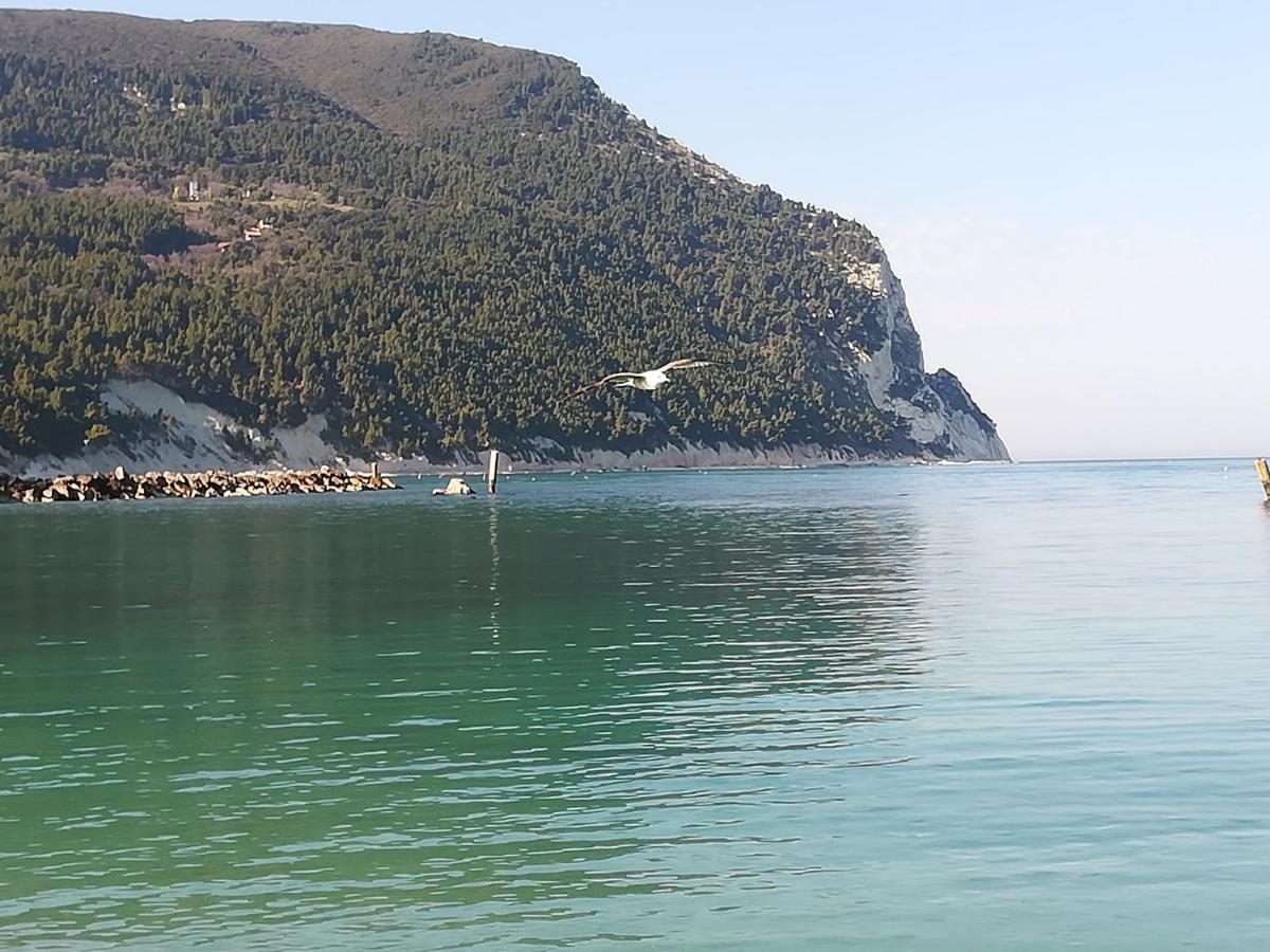 La Casina Di Sonia Hotel Ancona Ngoại thất bức ảnh